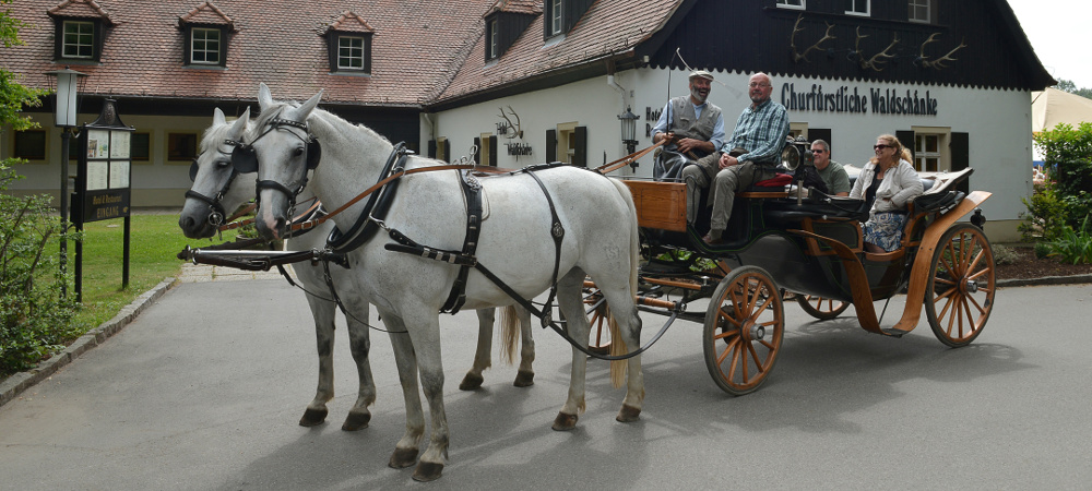 Pferdekutsche mit weißen Pferden vor dem Eingang der Waldschänke Moritzburg, mit lachenden Gästen an Bord.