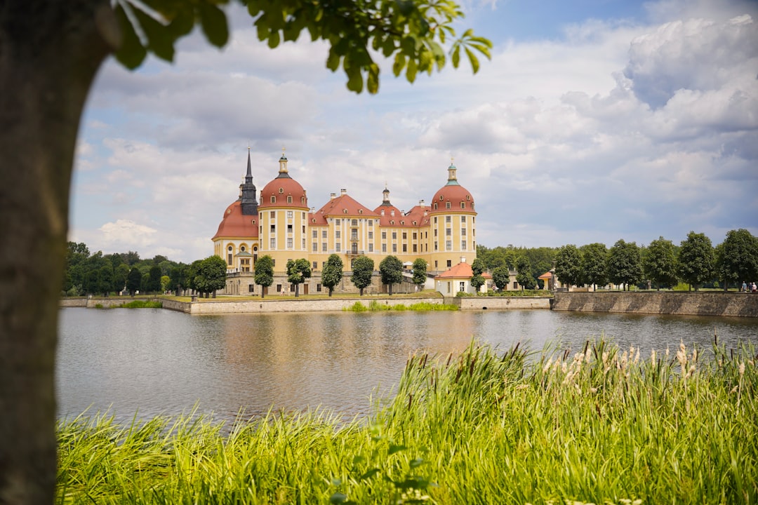 Schloss Moritzburg im Sommer, von Schilf und einem Baum gerahmt, mit Spiegelung im ruhigen Wasser unter leicht bewölktem Himmel.