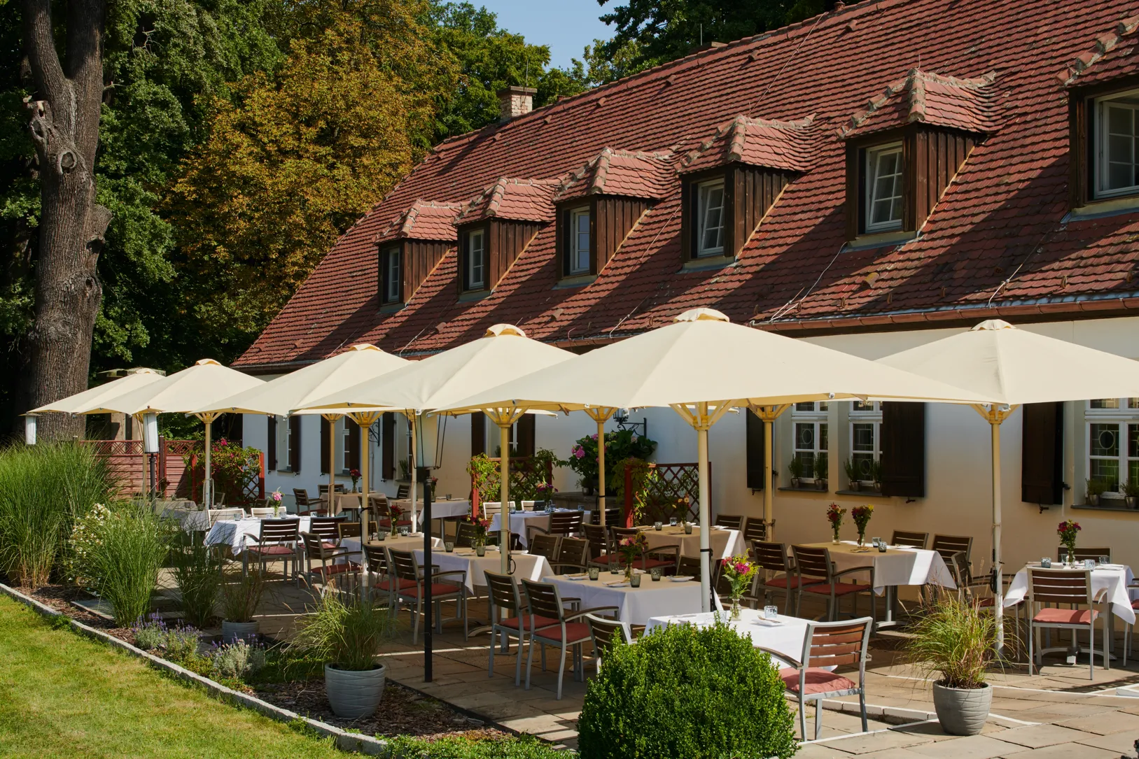 Wiesen-Terrasse der Churfürstlichen Waldschänke Moritzburg mit weiß eingedeckten Tischen unter Sonnenschirmen vor dem Haus mit rotem Ziegeldach